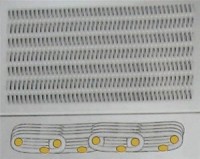 聚酯螺旋网系列